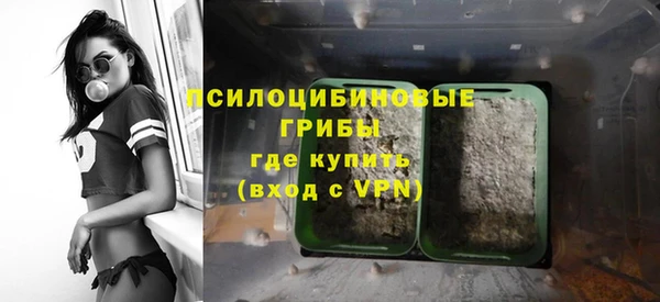 ПСИЛОЦИБИНОВЫЕ ГРИБЫ Зеленокумск