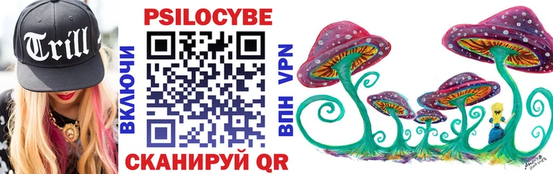 Галлюциногенные грибы Psilocybine cubensis  Купить  Бузулук 